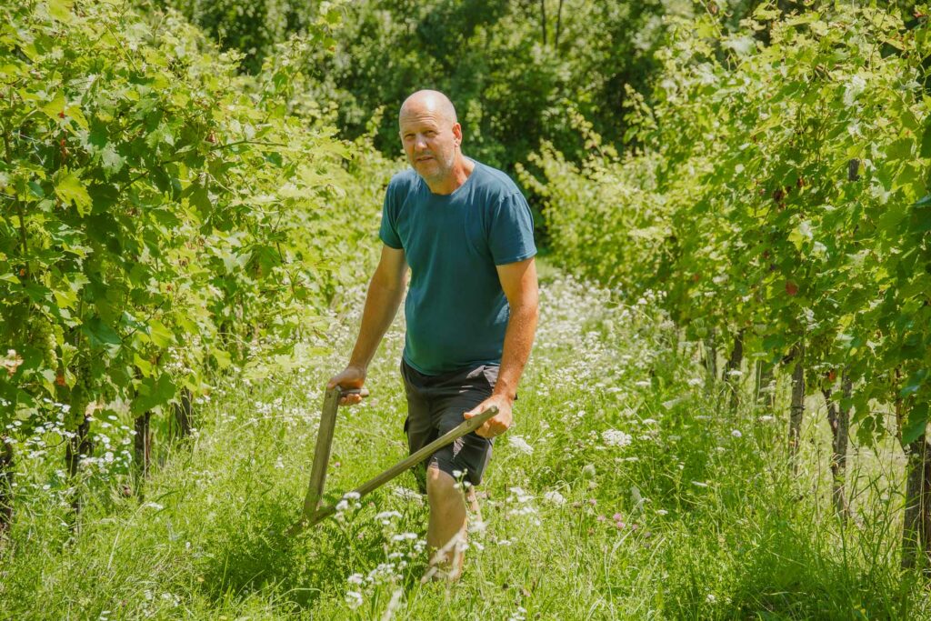 Otto Knaus – Biologischer Weinbau in der Steiermark