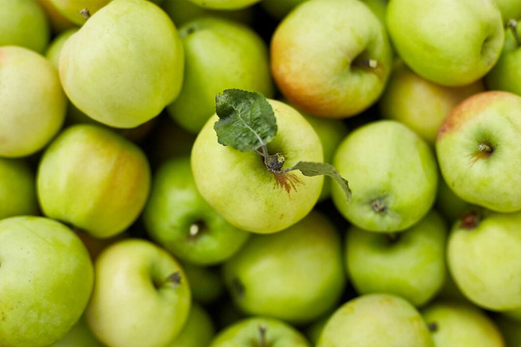 Apfel – Streuobstwiese