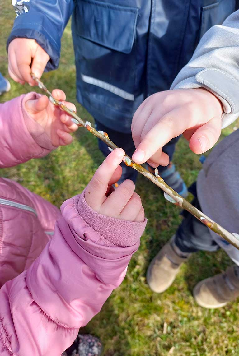 Naturpark Kindergärten