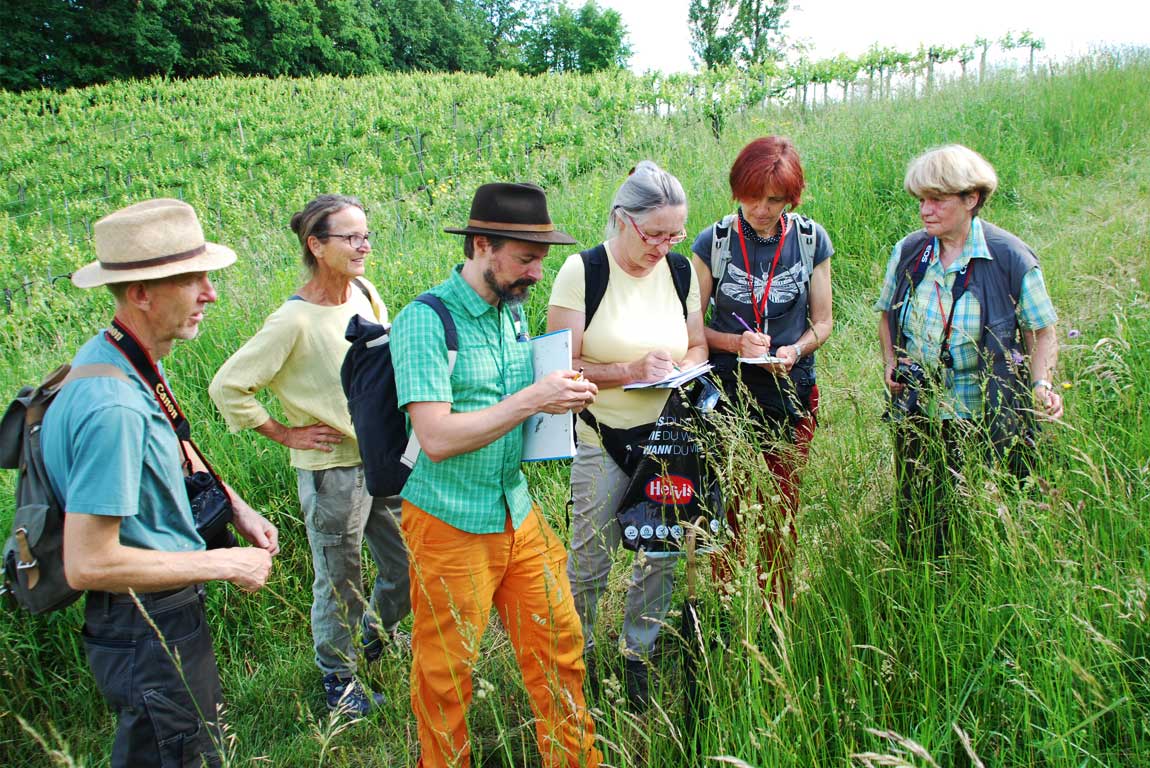 Die 4 Säulen des Naturparks