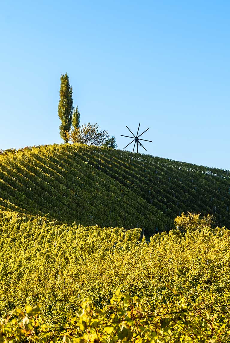 Verband der Naturparke Österreichs (VNÖ)